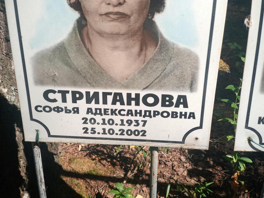Стриганова Софья Александровна