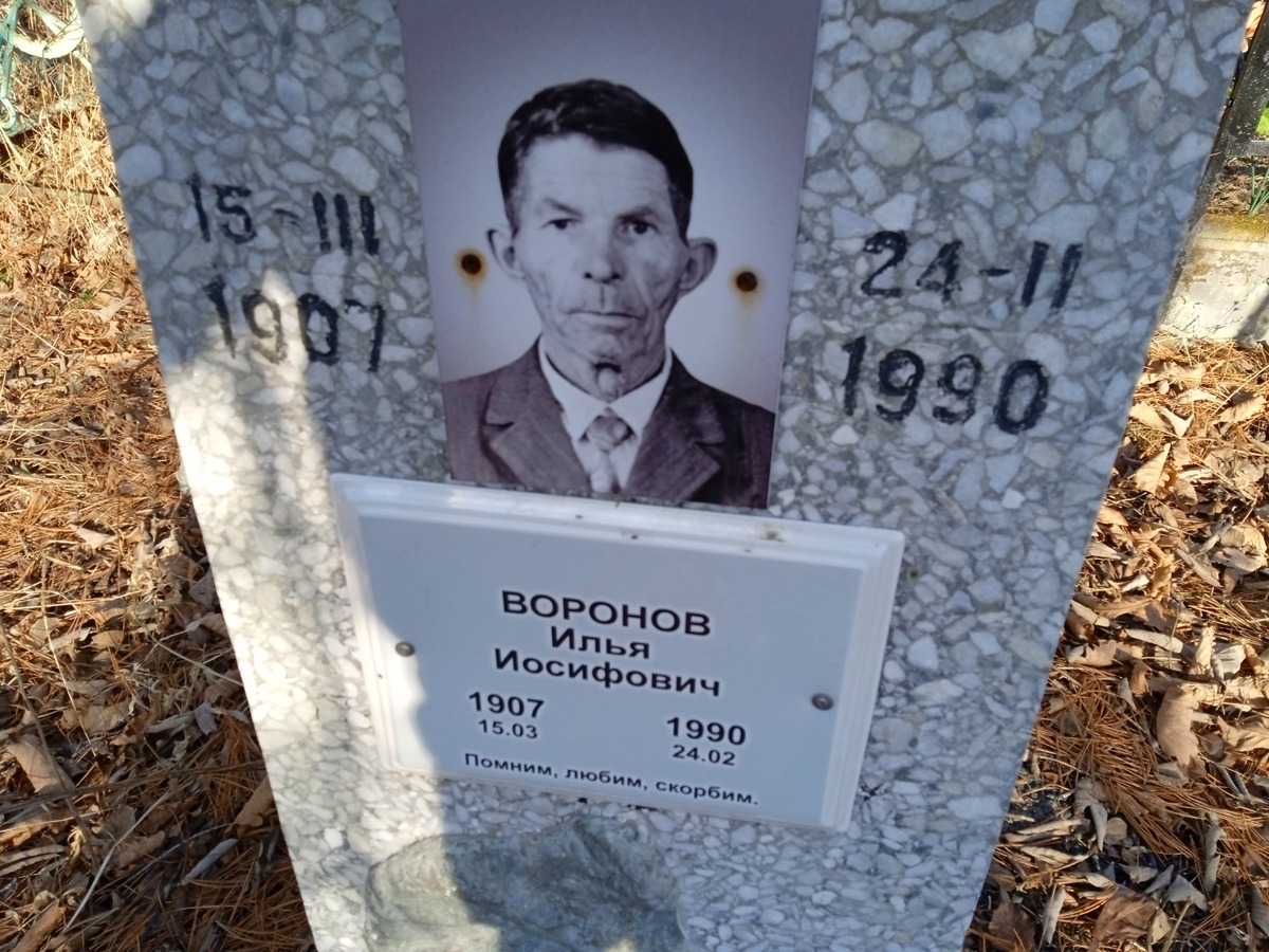 Воронов Илья Иосифович