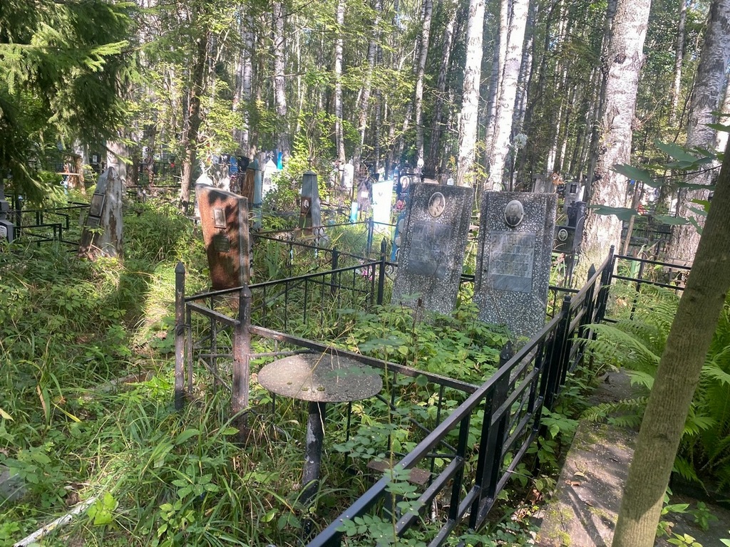 Шульпина Анна Николаевна