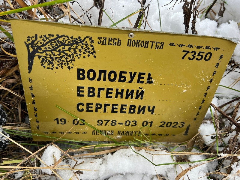 Волобуев
