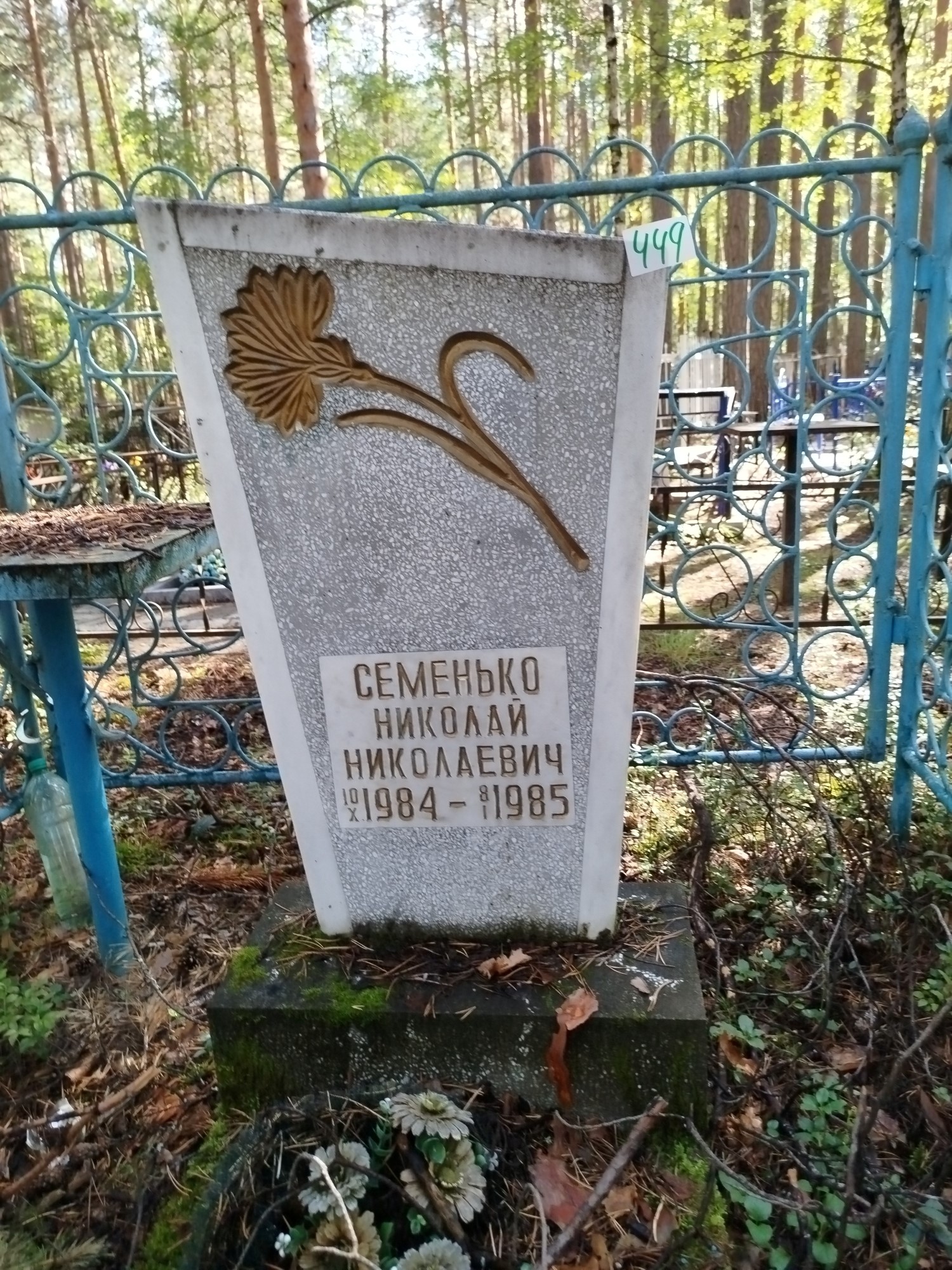 Семенько Николай Николаевич