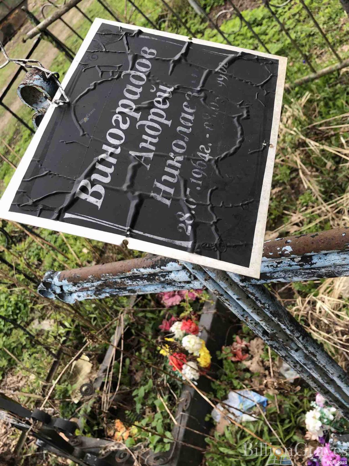 Виноградов Андрей Николаевич