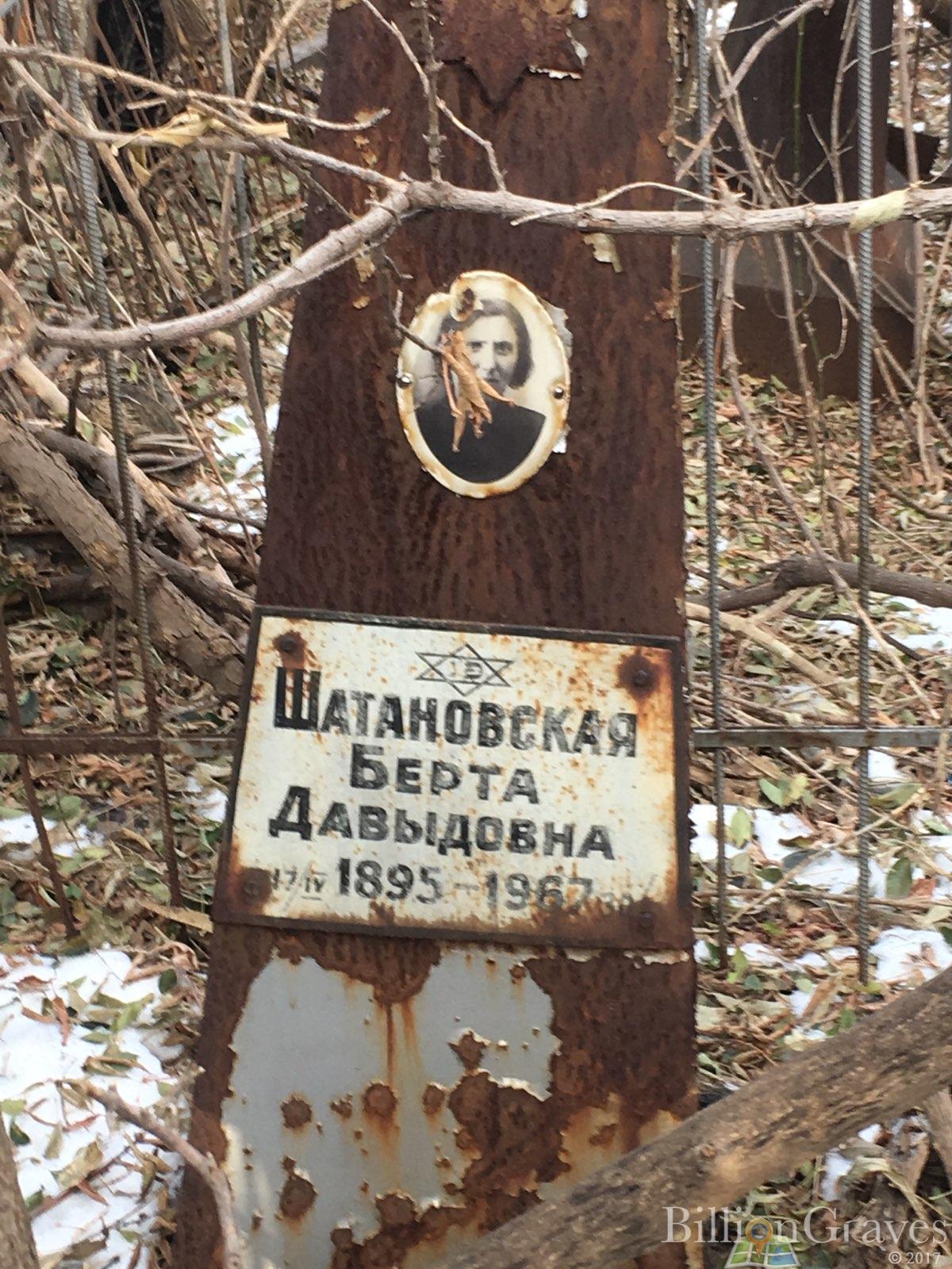 Шатановская Берта Давыдовна