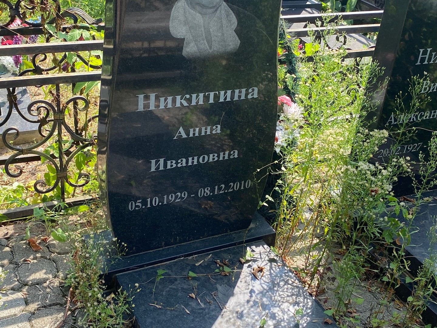 Никитина