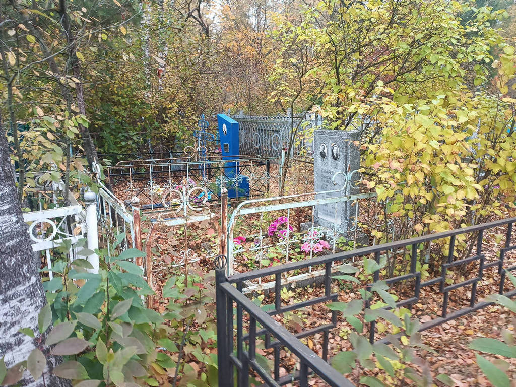 Сибирева Анна Васильевна