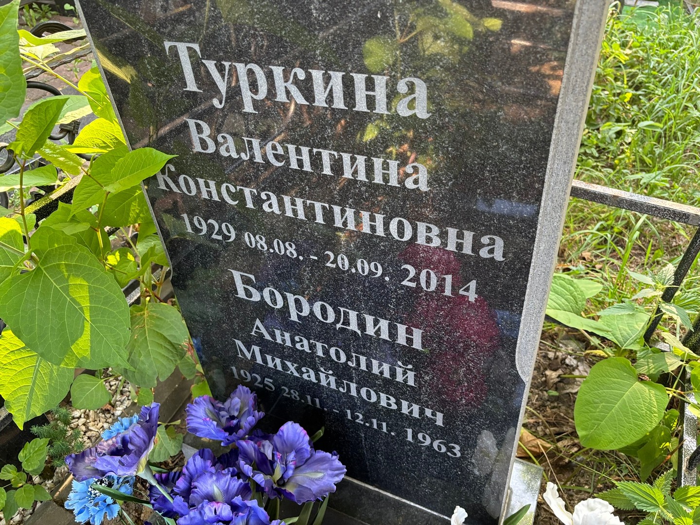 Туркина