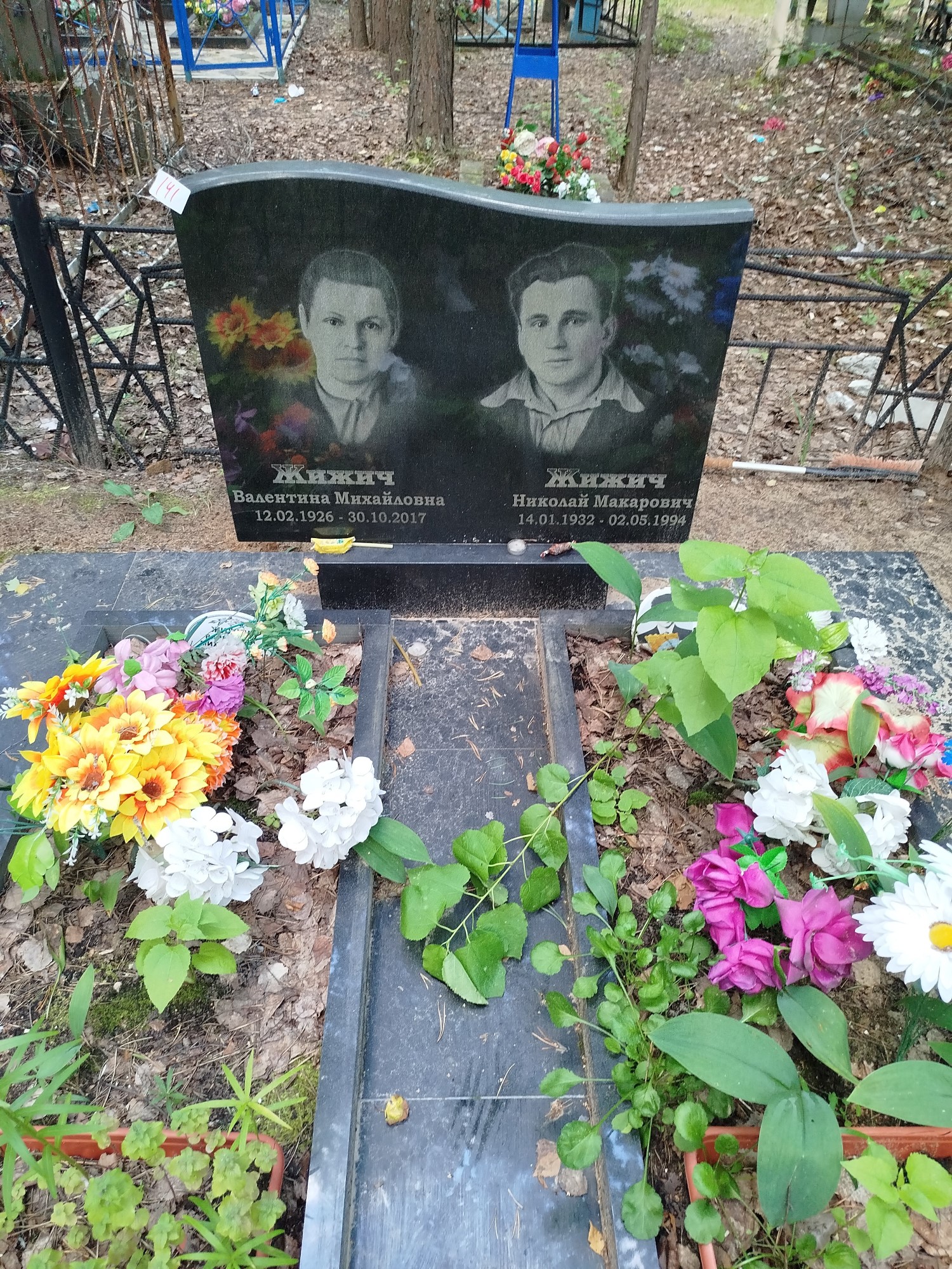 Жижич Николай Макарович