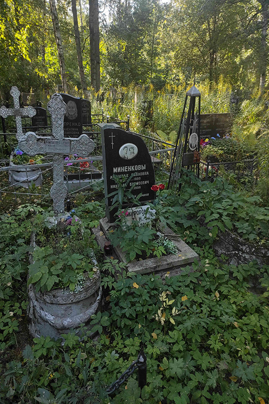 Никифорова Т. Н.
