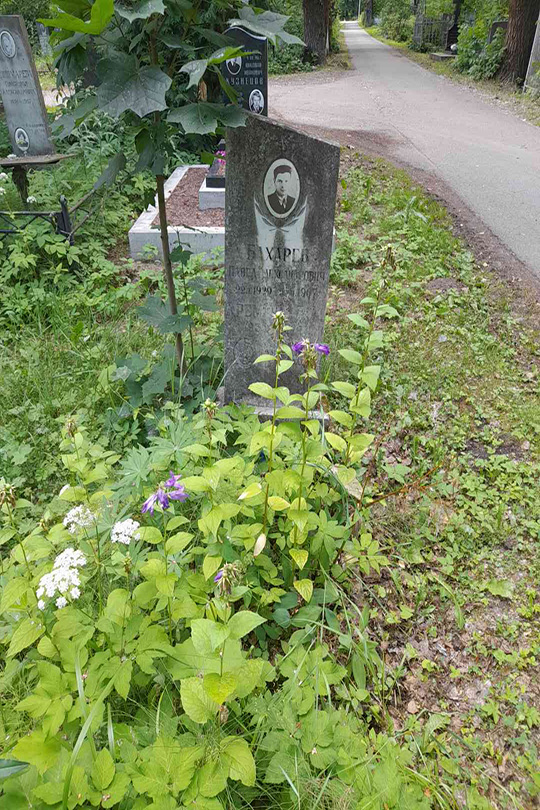 Бахарев Павел Александрович
