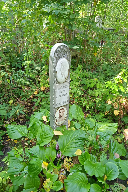 Самсонов Петр Алексеевич