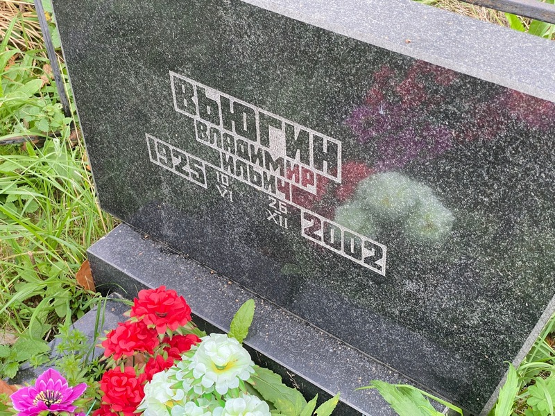 Вьюгин