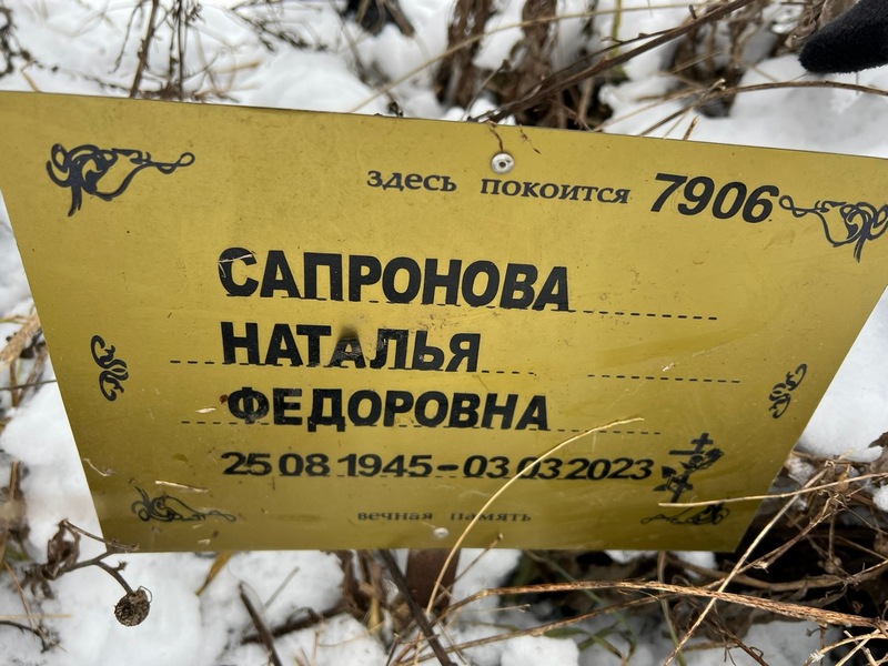 Сапронова