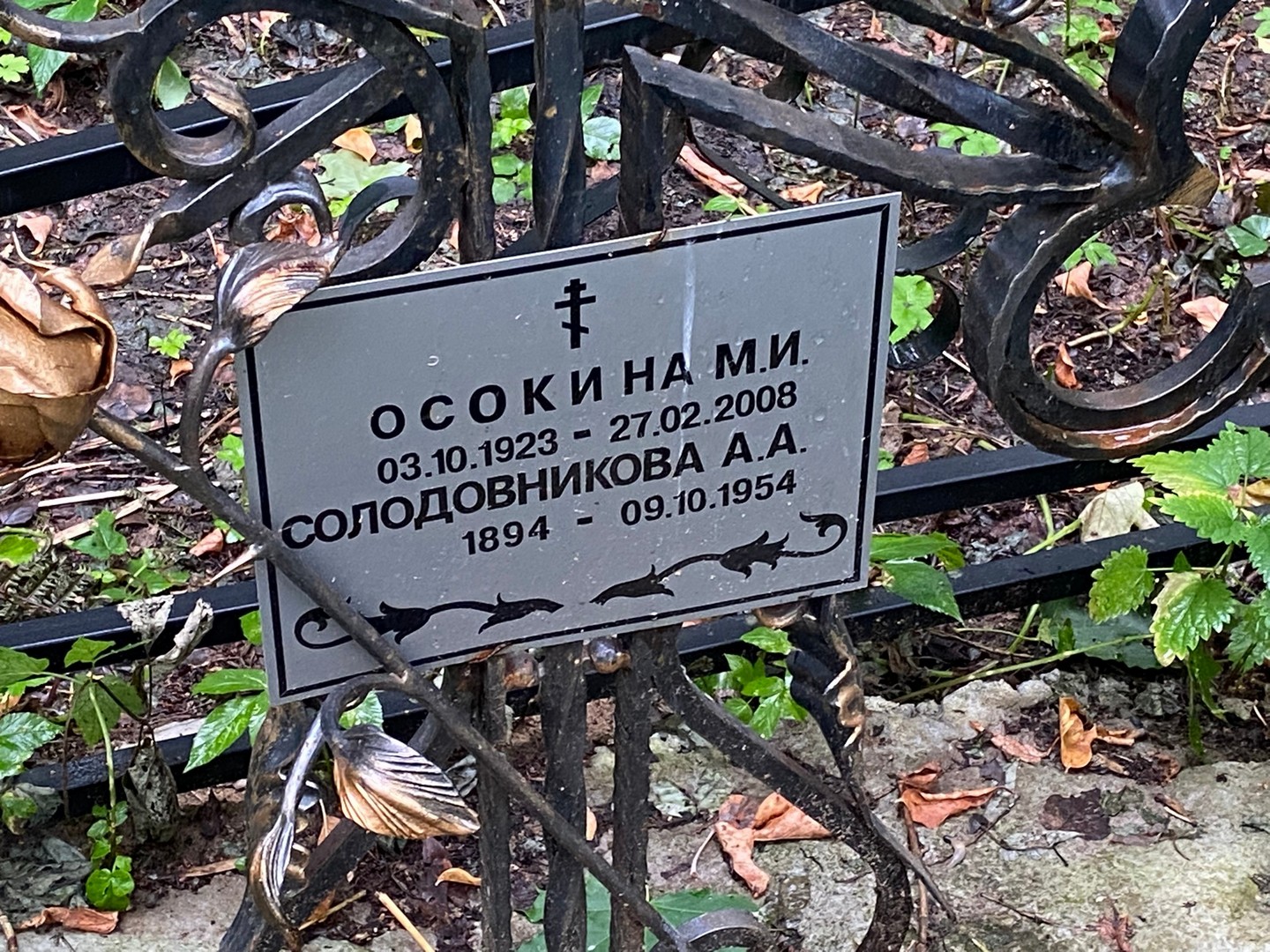 М Осокина И