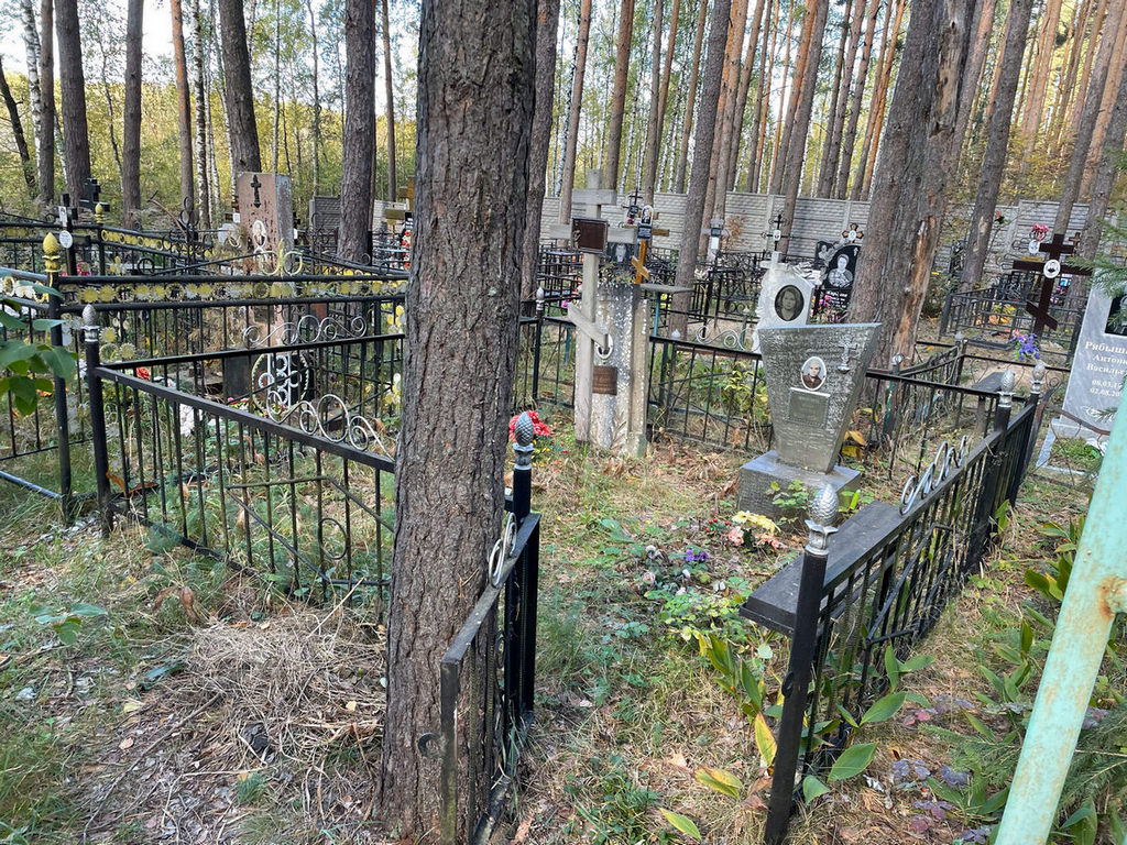 Никитин Сергей Александрович