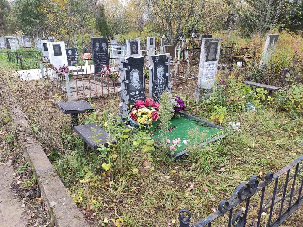 Воронина Алла Александровна