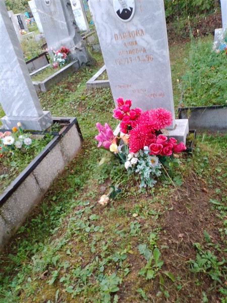 Павлова Анна Ивановна