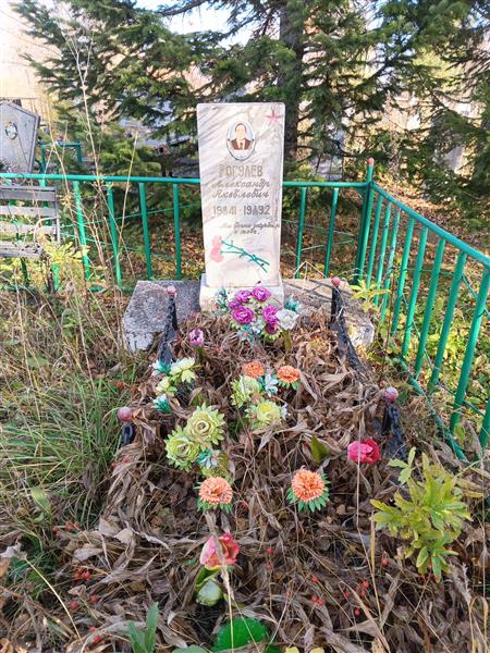Рогулев Александр Яковлевич