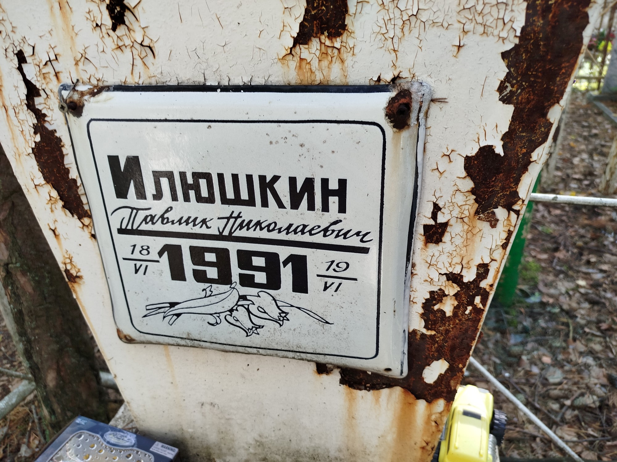 Илюшкин Павлик Николаевич