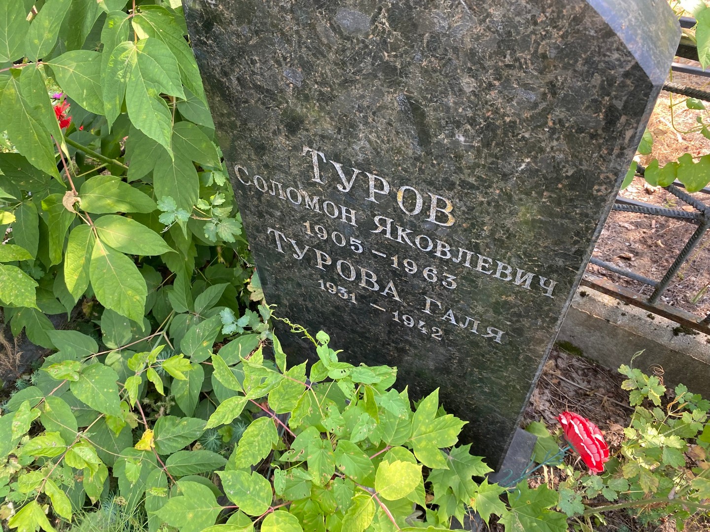 Соломон Туров Яковлевич