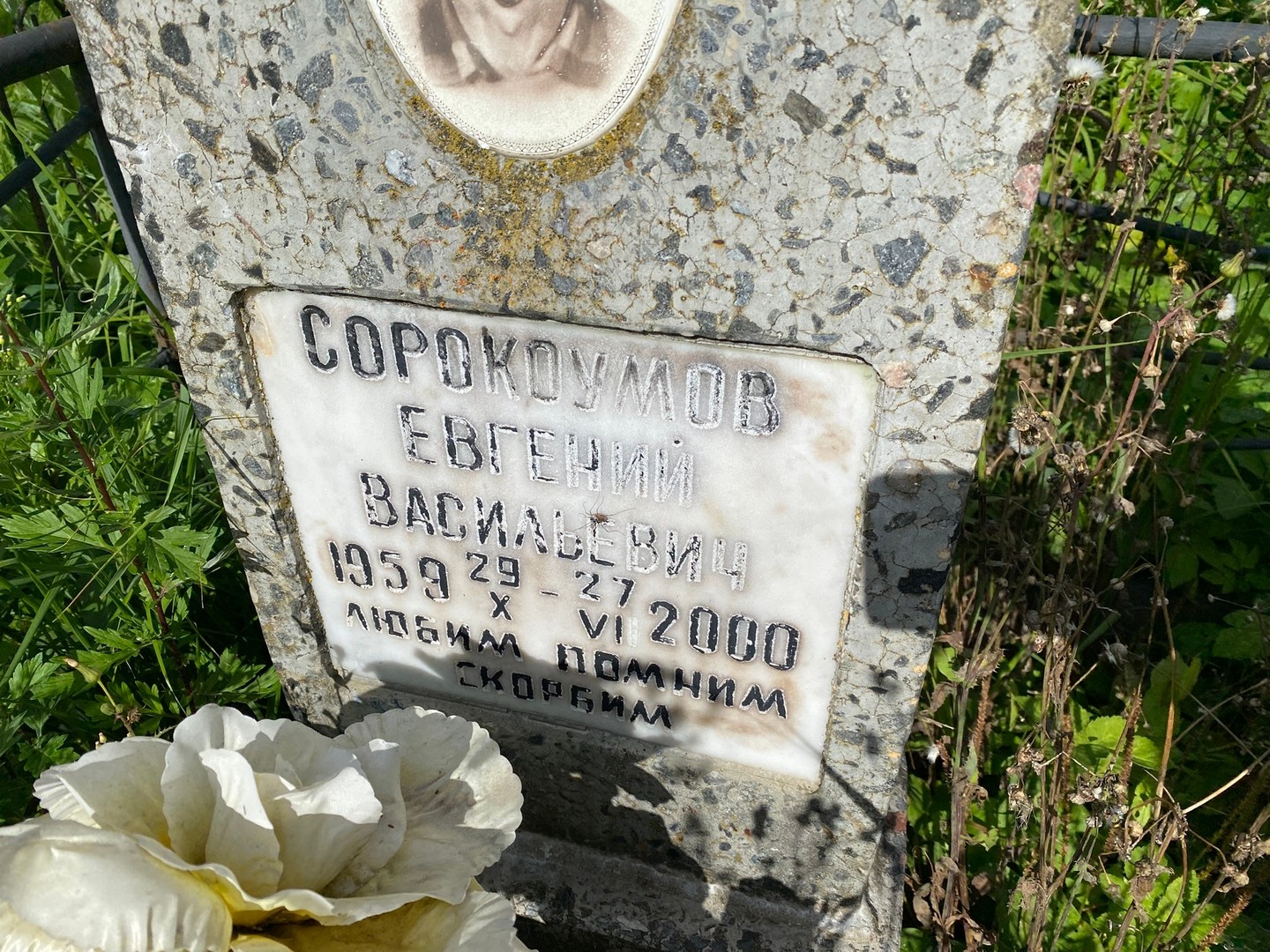 Сорокоумов