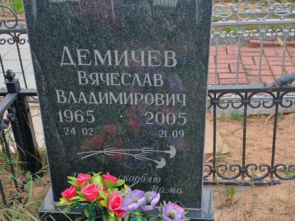 Демичев Вячеслав Владимирович