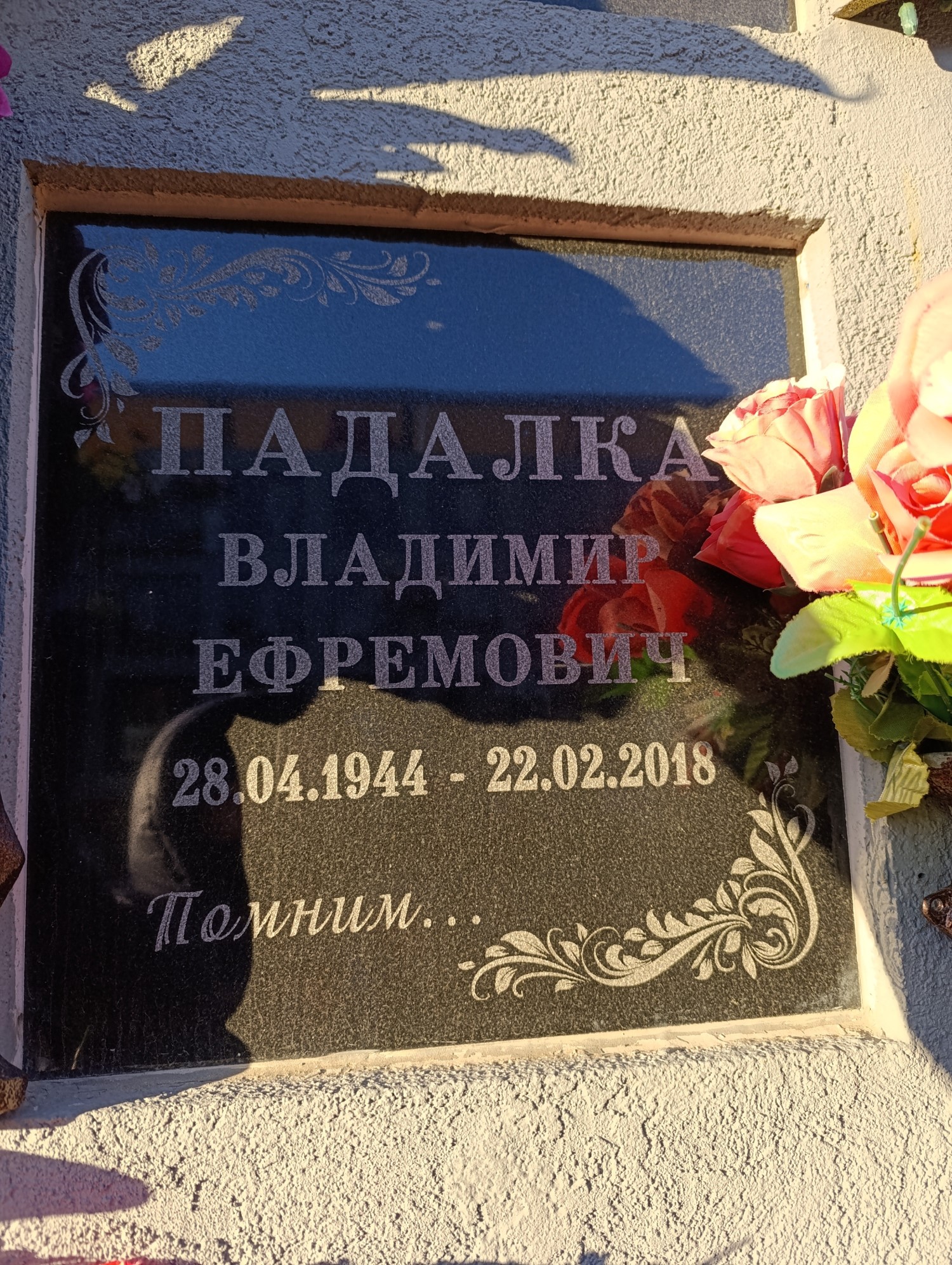 Падалка Владимир Ефремович