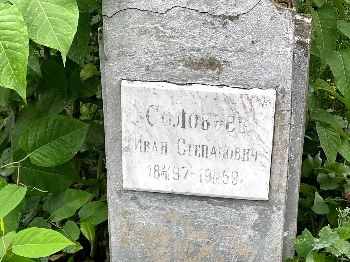 Соловьев