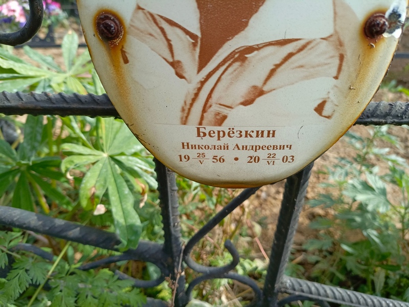Березкин