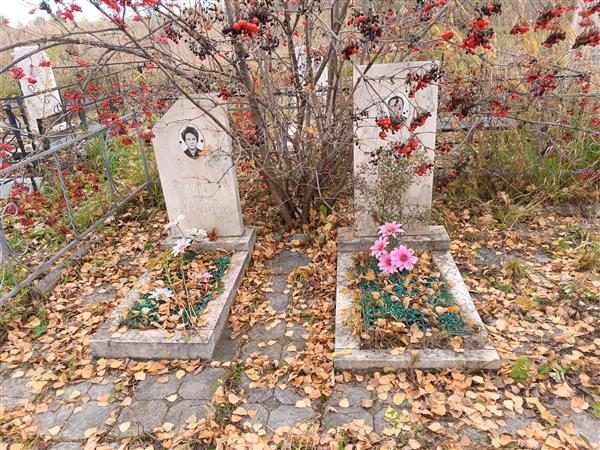 Сапунков Николай Александрович