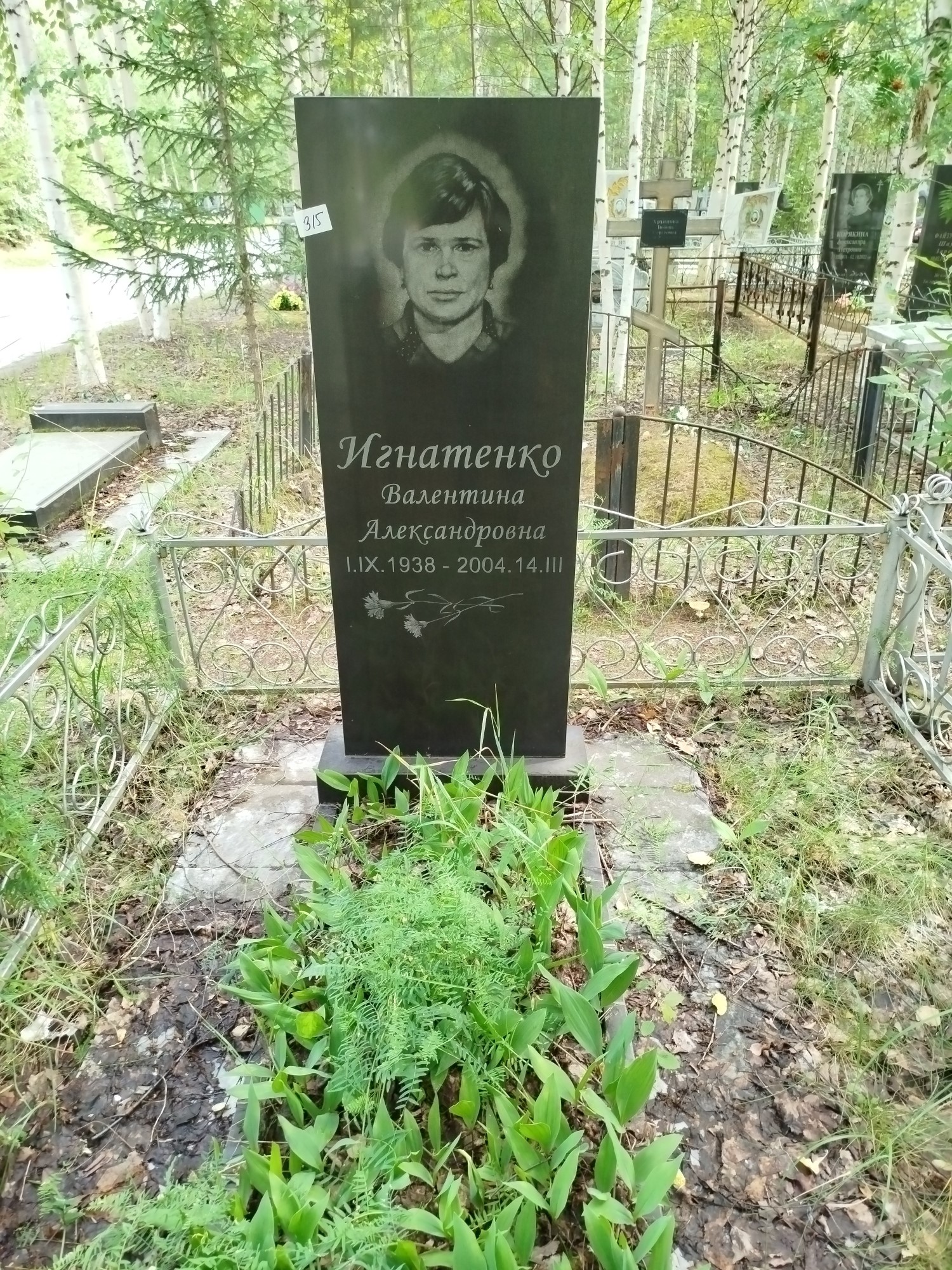 Игнатенко Валентина Александровна