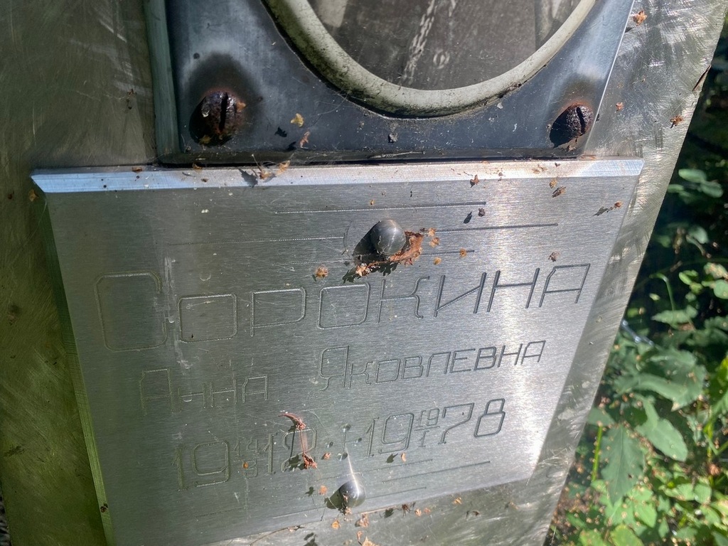 Сорокина Анна Яковлевна