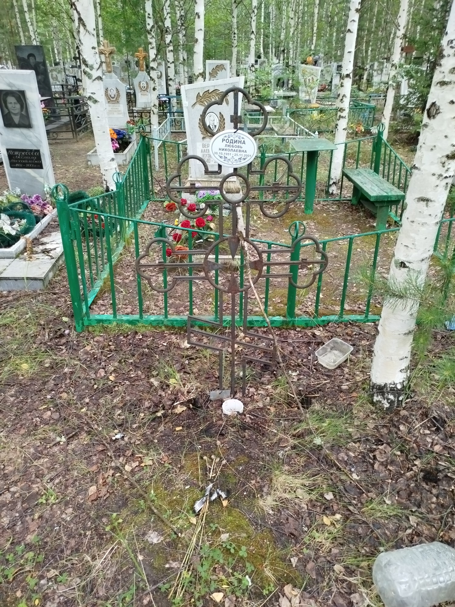 Родина Любовь Николаевна