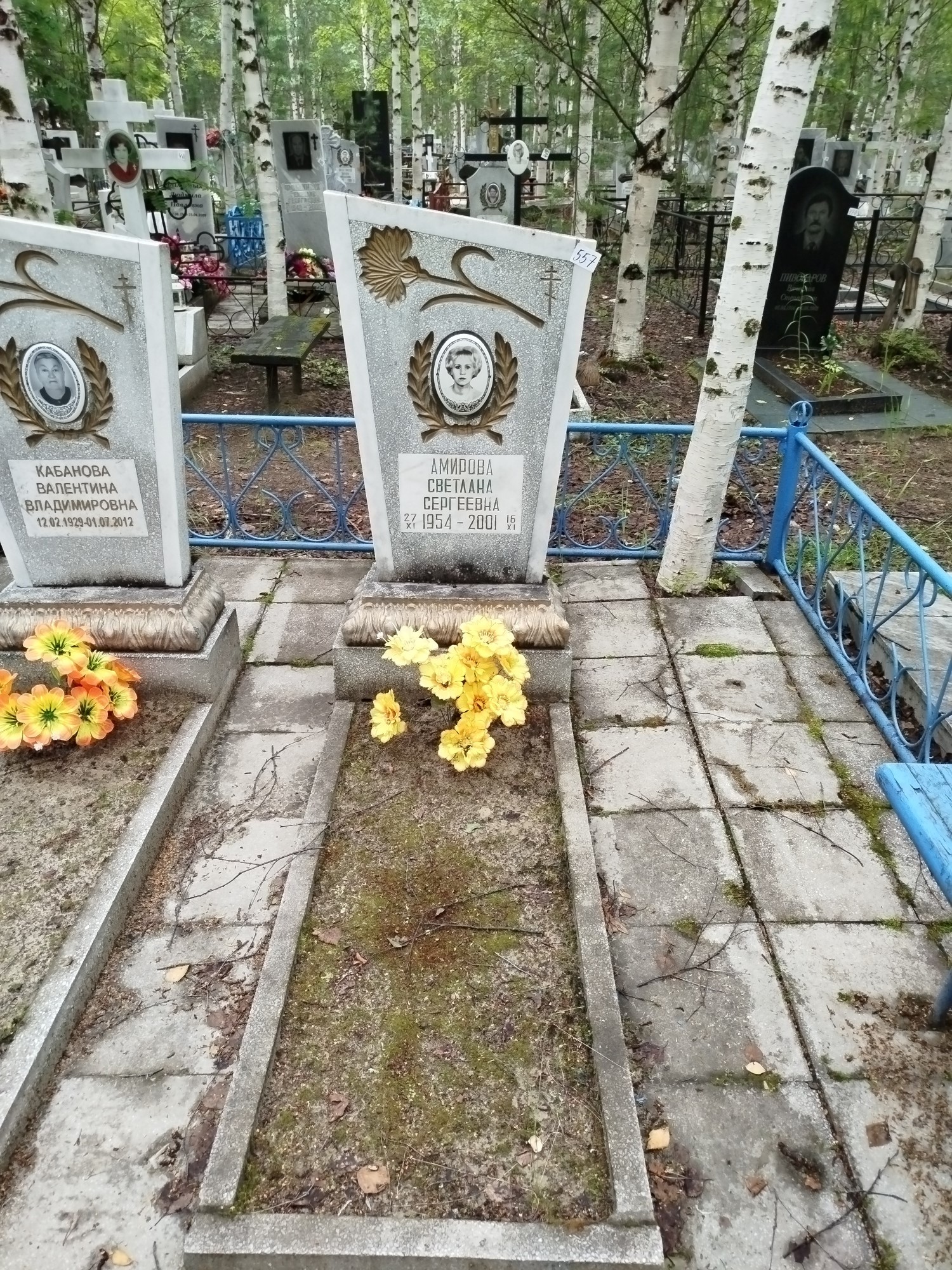 Амирова Светлана Сергеевна