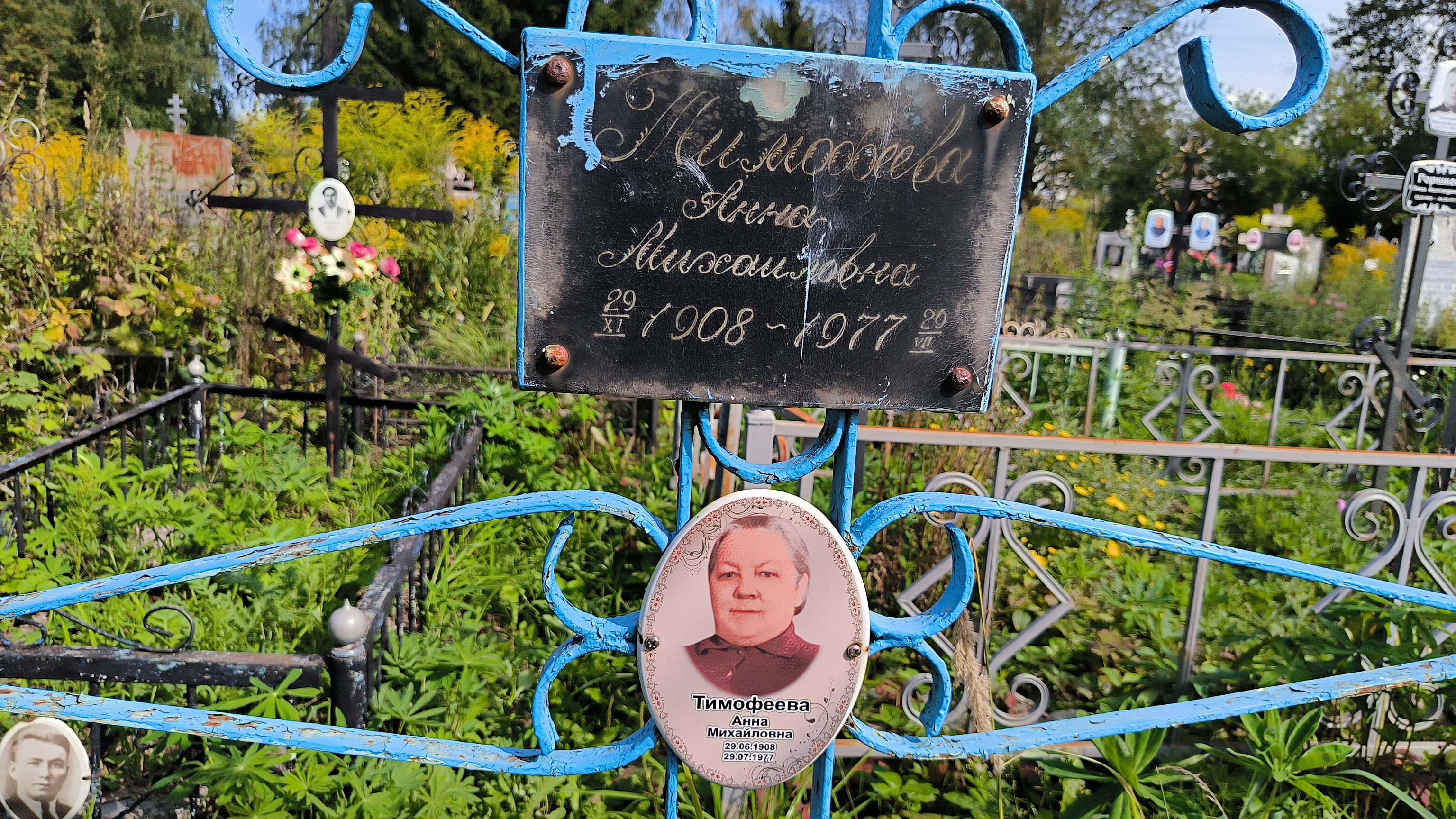 Тимофеева Анна Михайловна