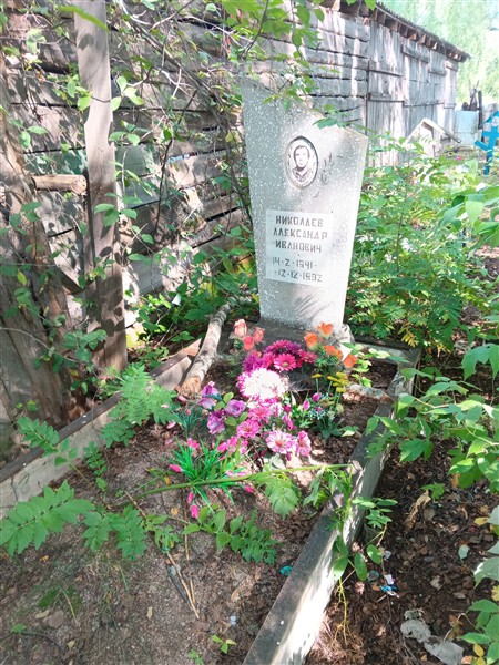 Николаев Александр Иванович