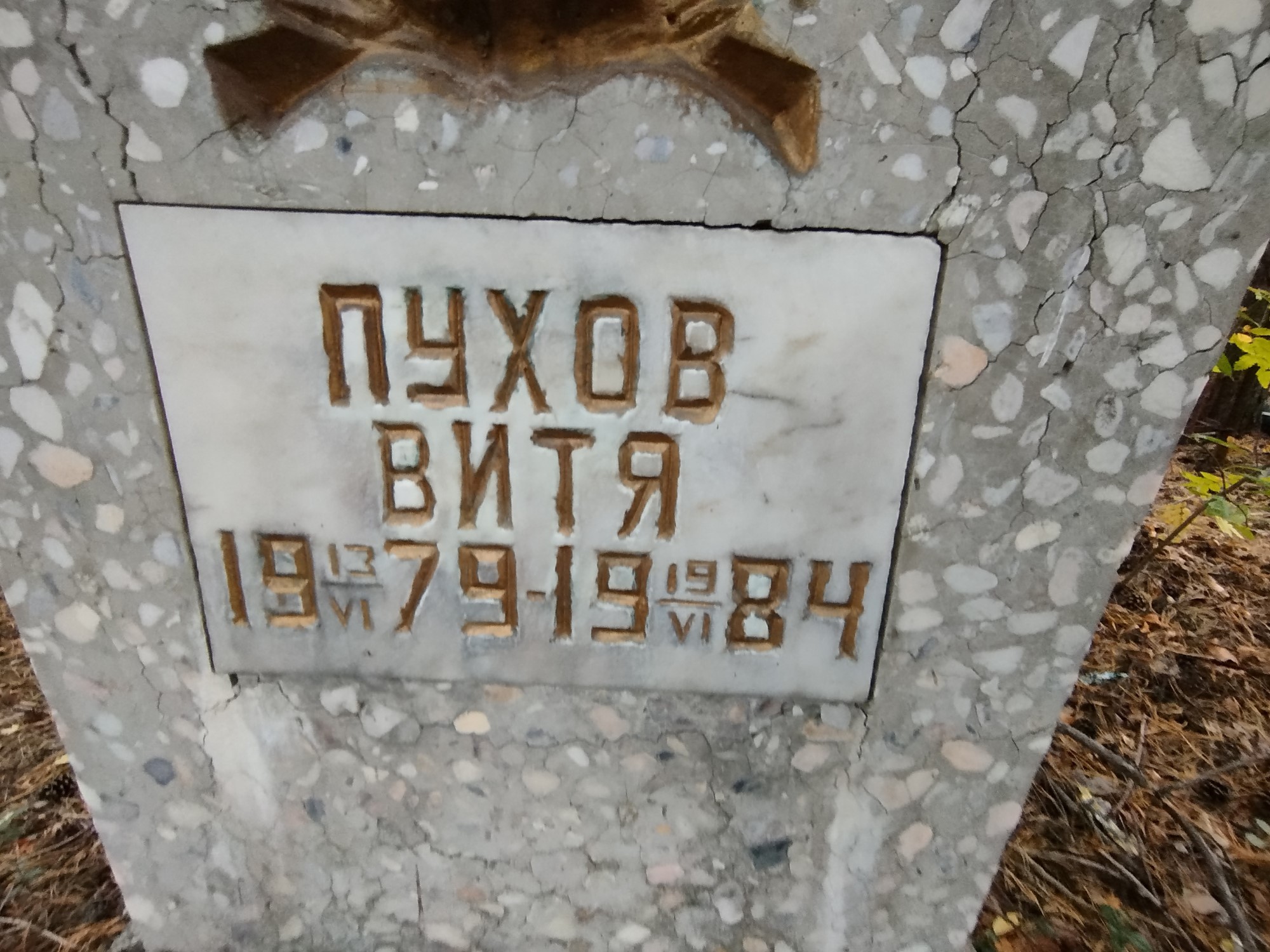 Пухов Виктор
