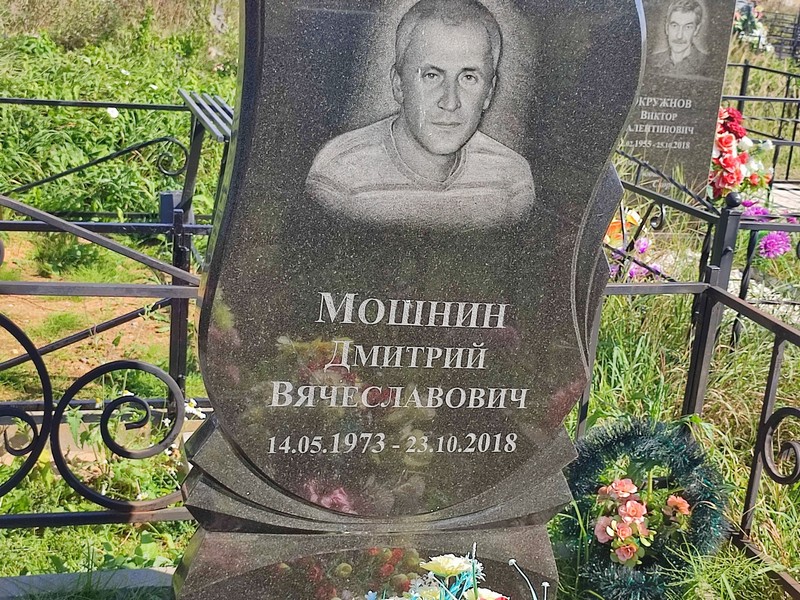 Мошнин