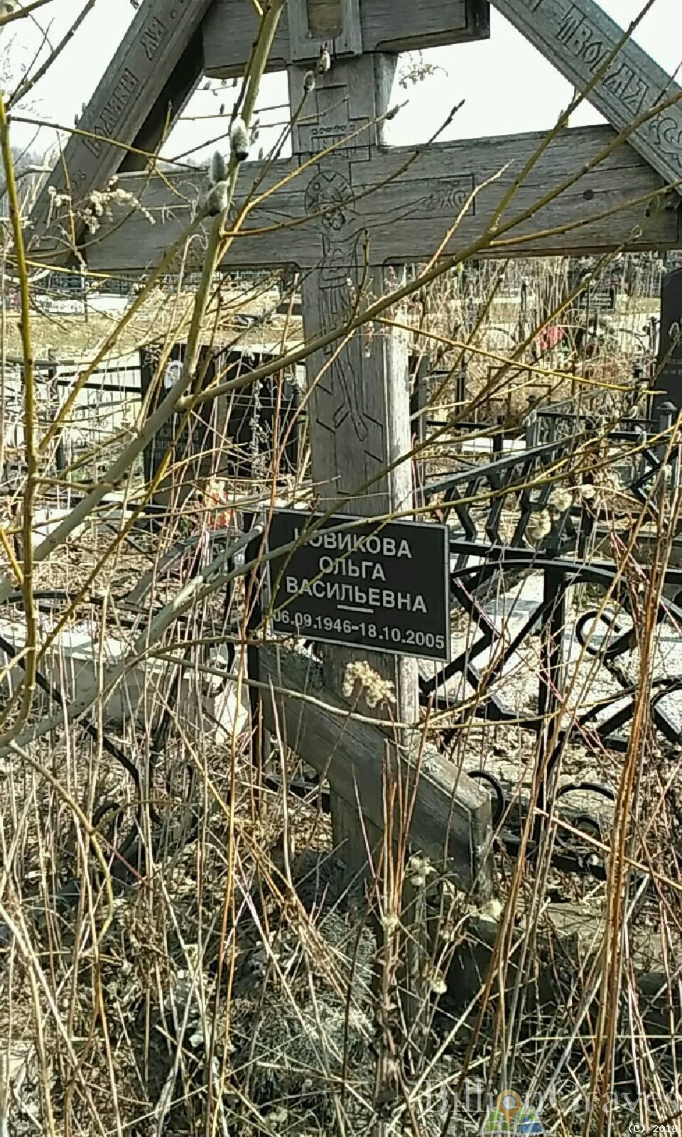 Новикова Ольга Васильевна