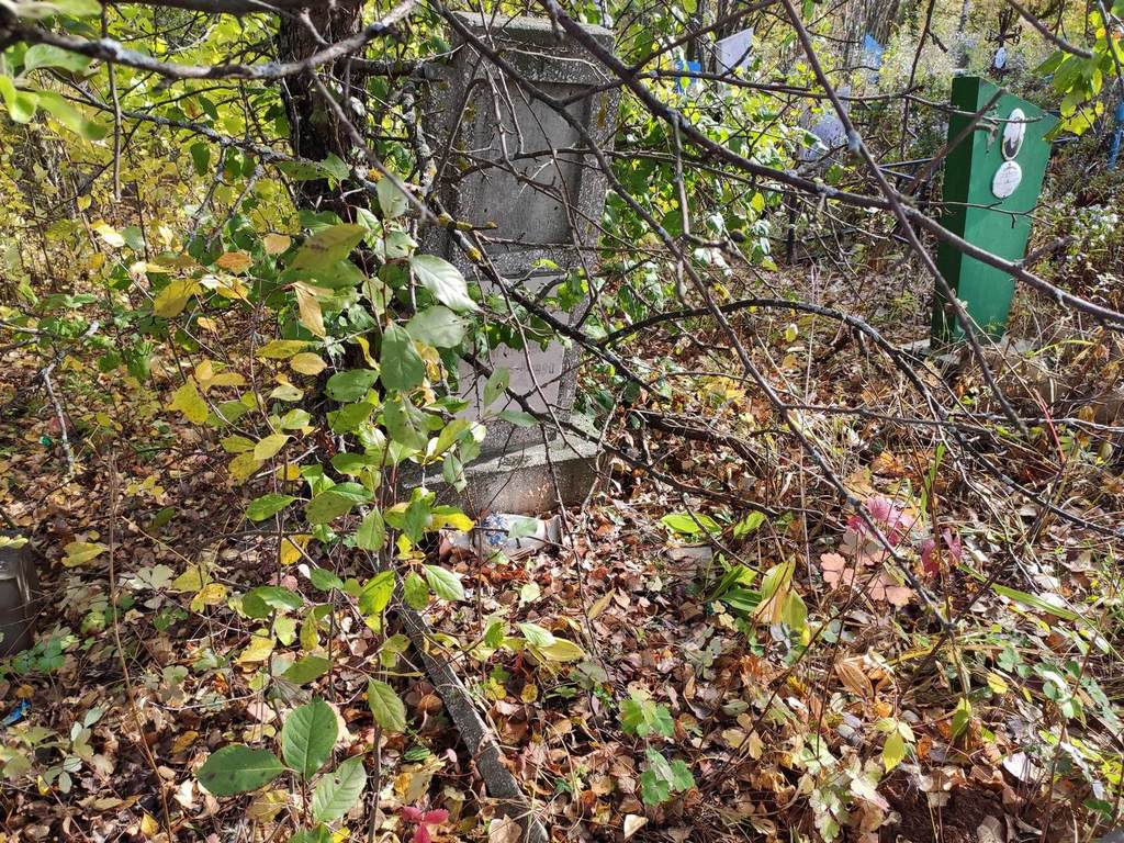 Боровкова Клавдия Григорьевна
