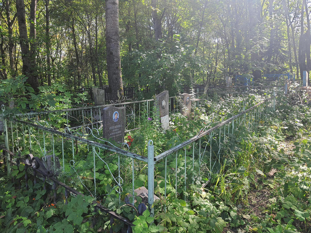 Потапова Елена Алексеевна
