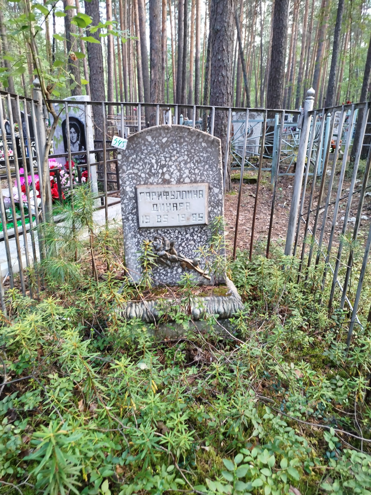 Гарифуллина Динара