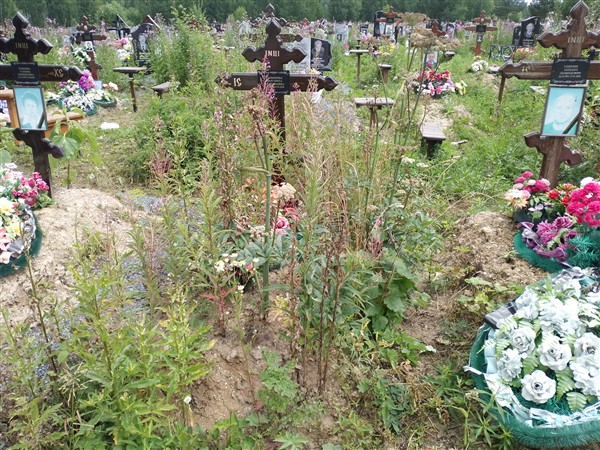 Паньшина Маргарита Анатольевна