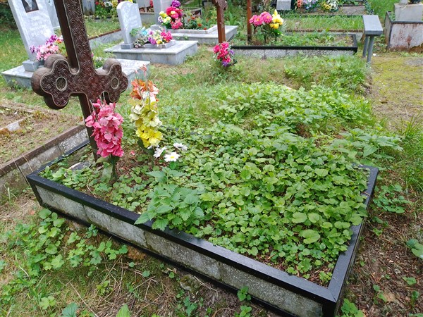 Кокуркина Нина Ивановна