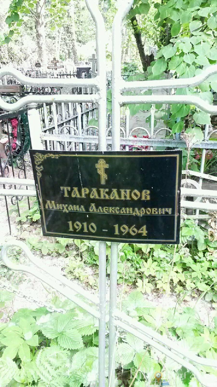 Колбанова Анисья Васильевна