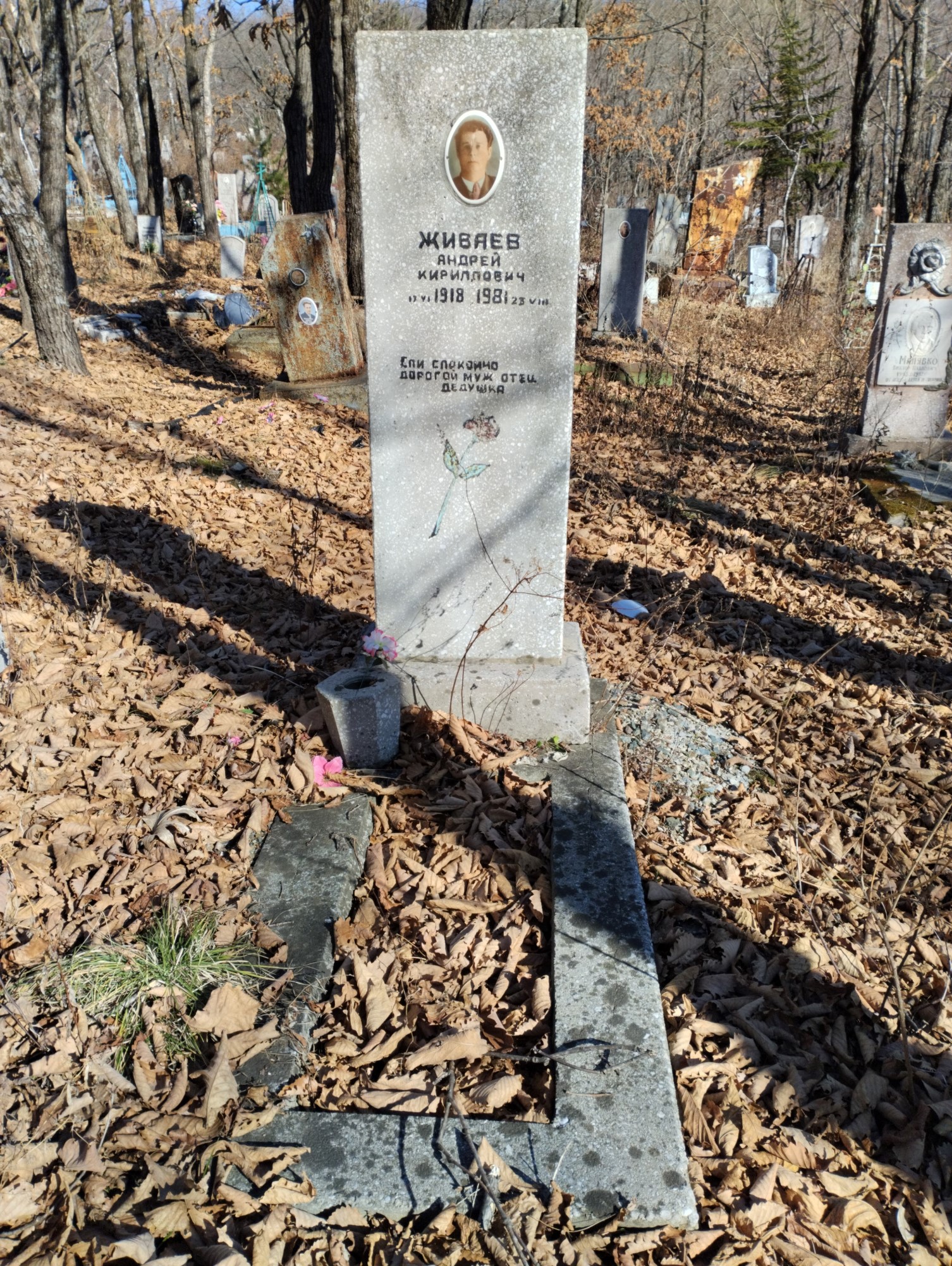 Живаев Андрей Кириллович