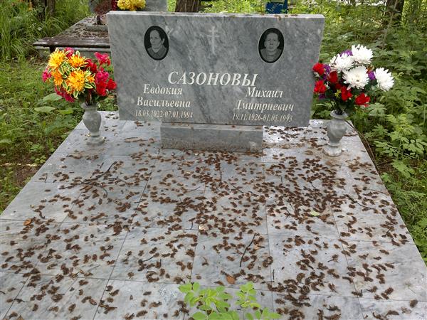 Сазонова Евдокия Васильевна