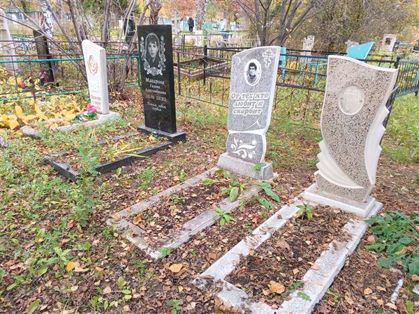 Ильин Владимир Демьянович