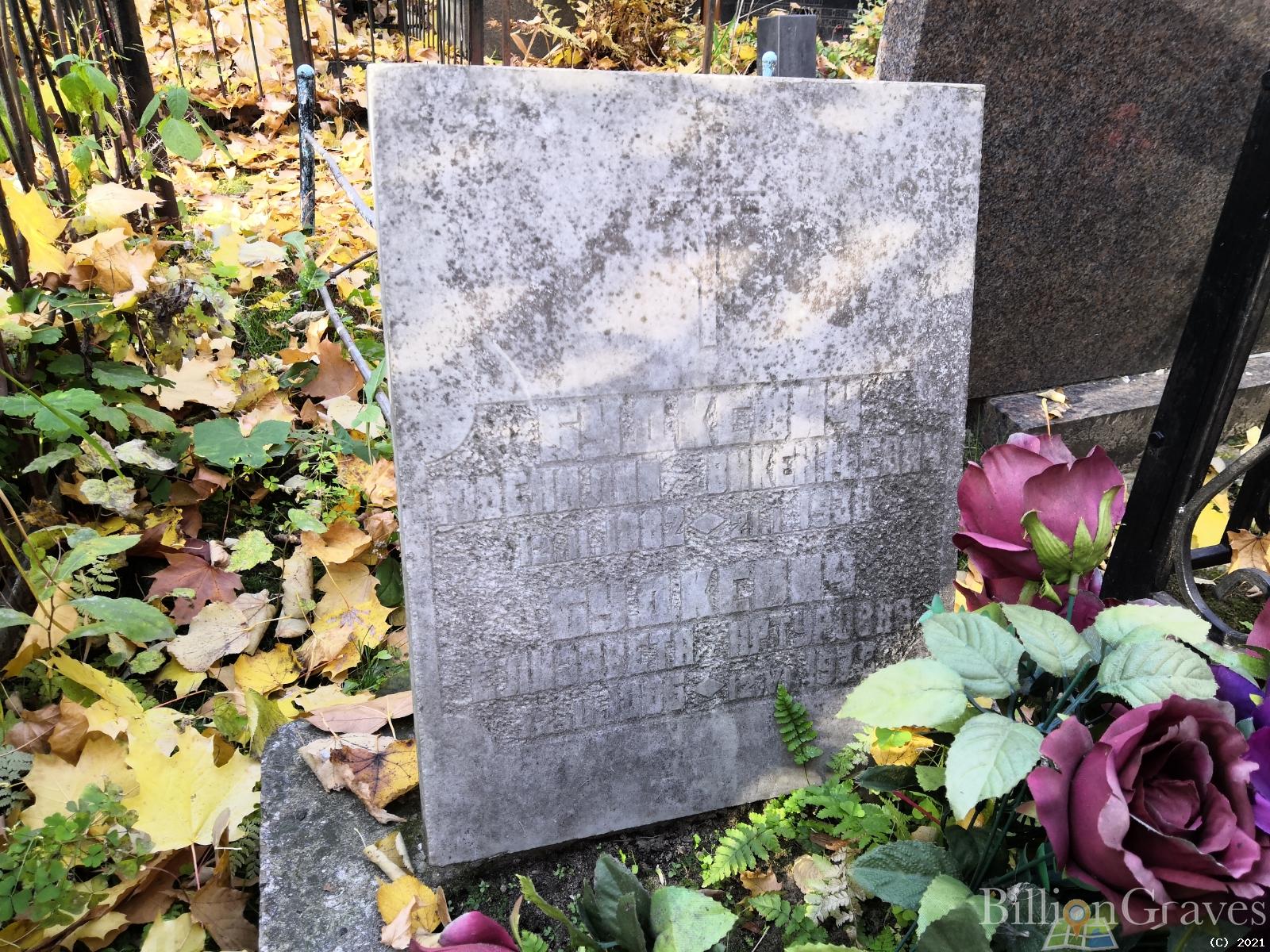 Будкевич Елизавета Артуровна