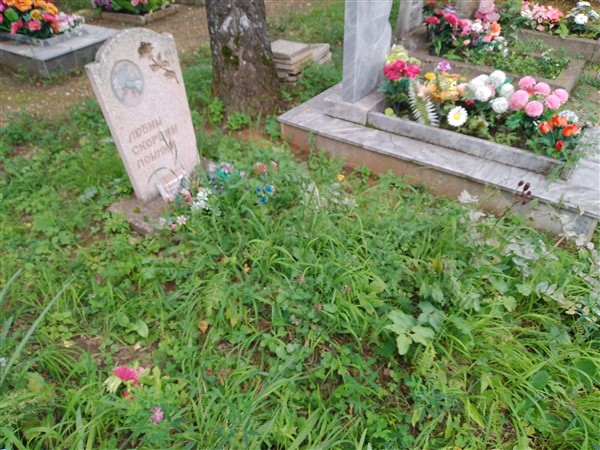 Гончаров Дмитрий Борисович