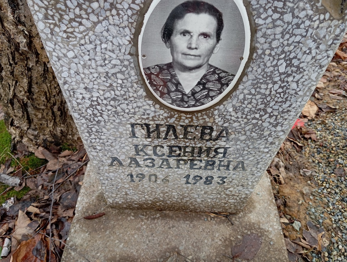 Гилева Ксения Лазаревна